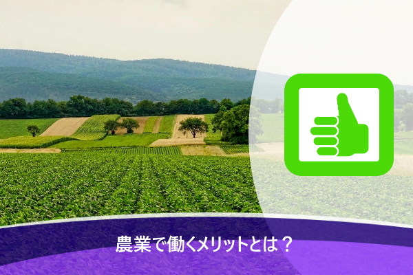 農業で働くメリットとは？